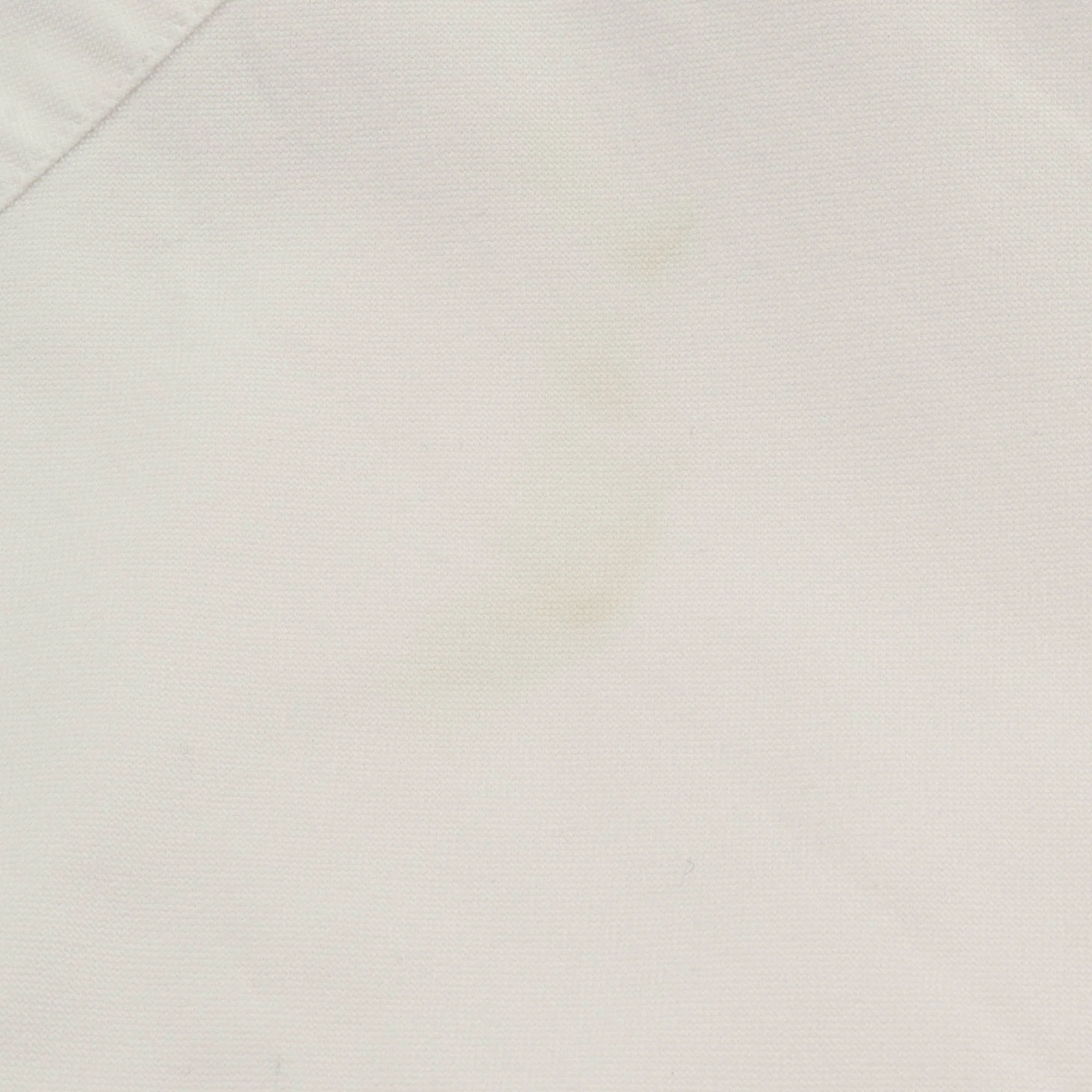 Albacore Shirt - Image 4