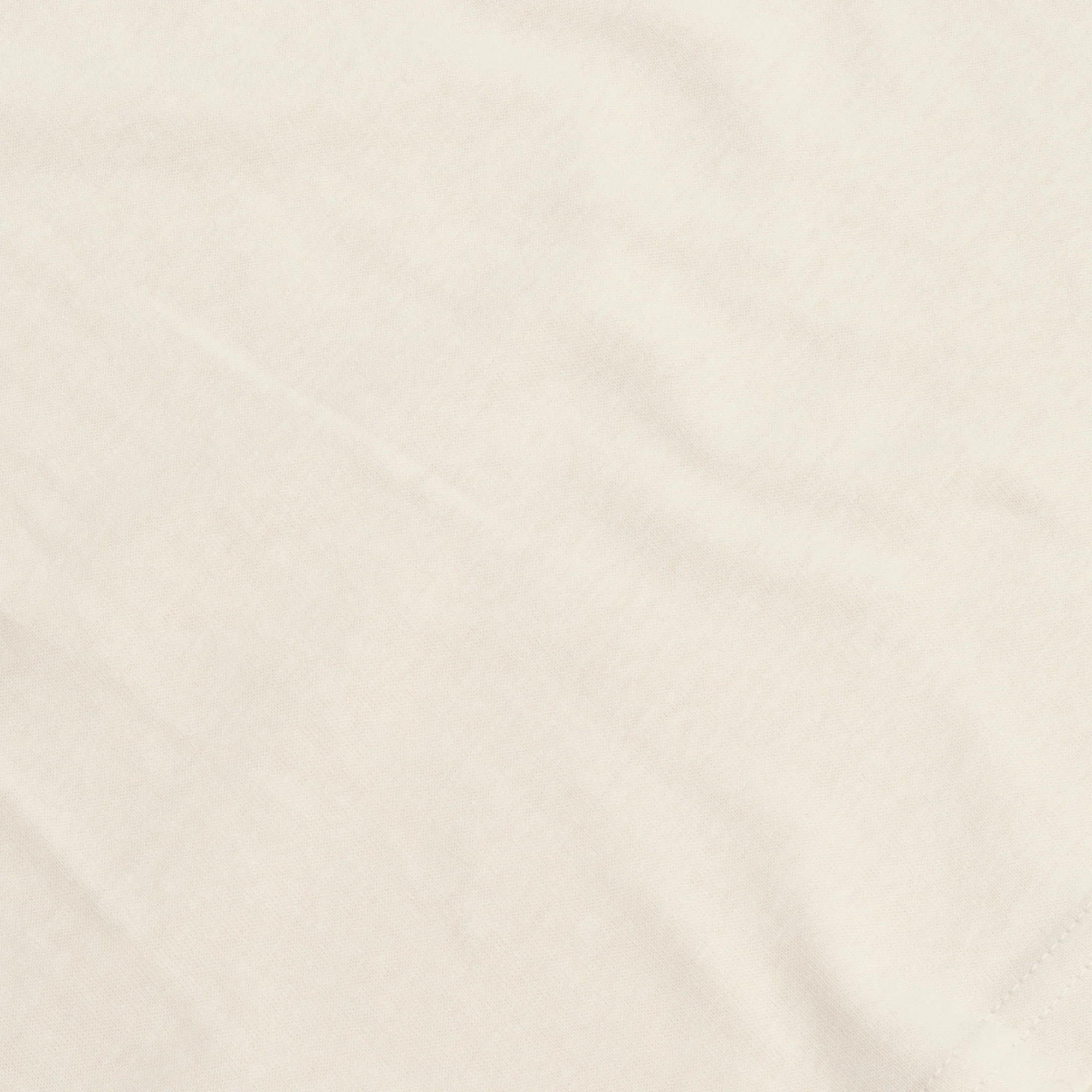 Cotton T-Shirt - Ecru - Image 4