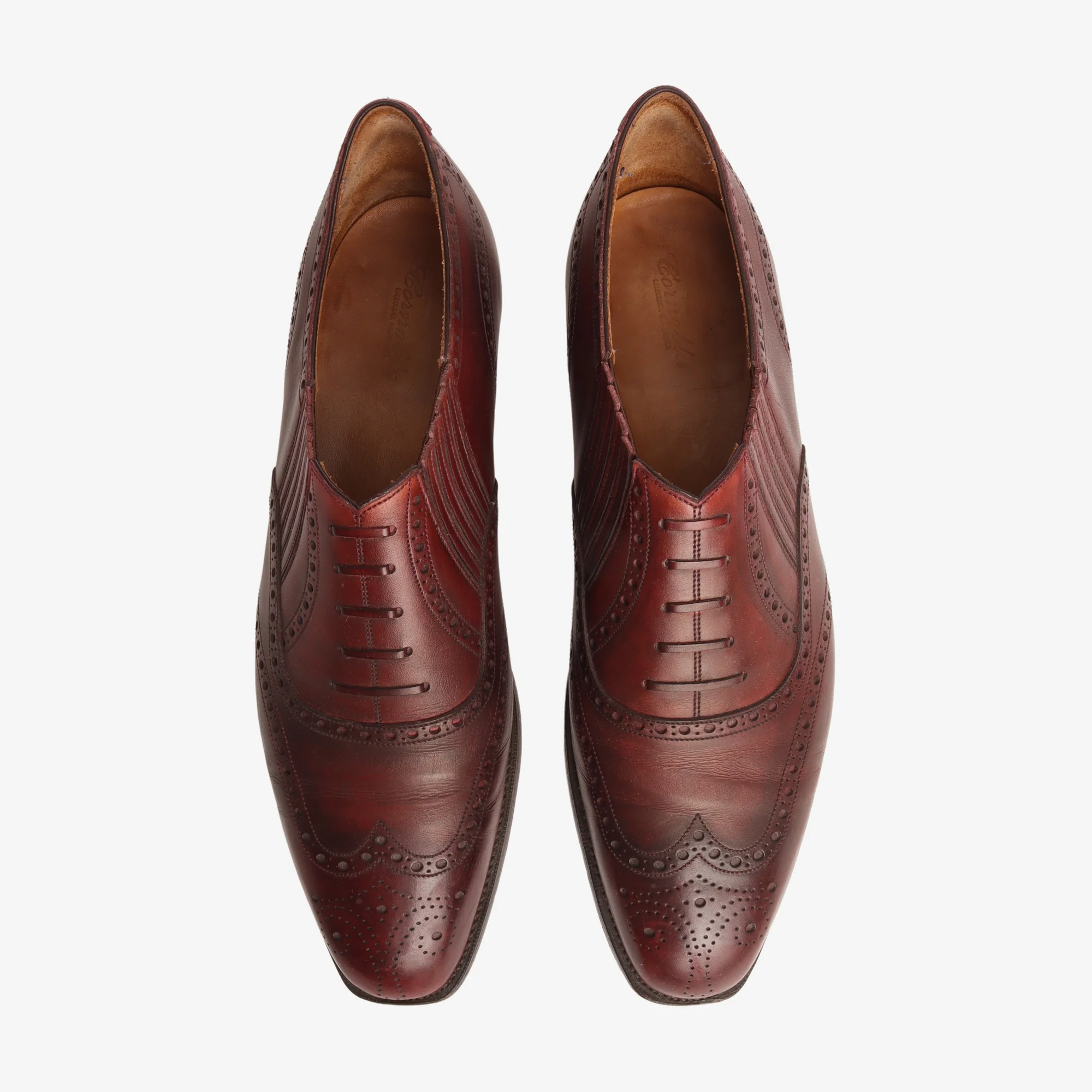 Leo Sideelastic Lazyman + Trees - Image 5