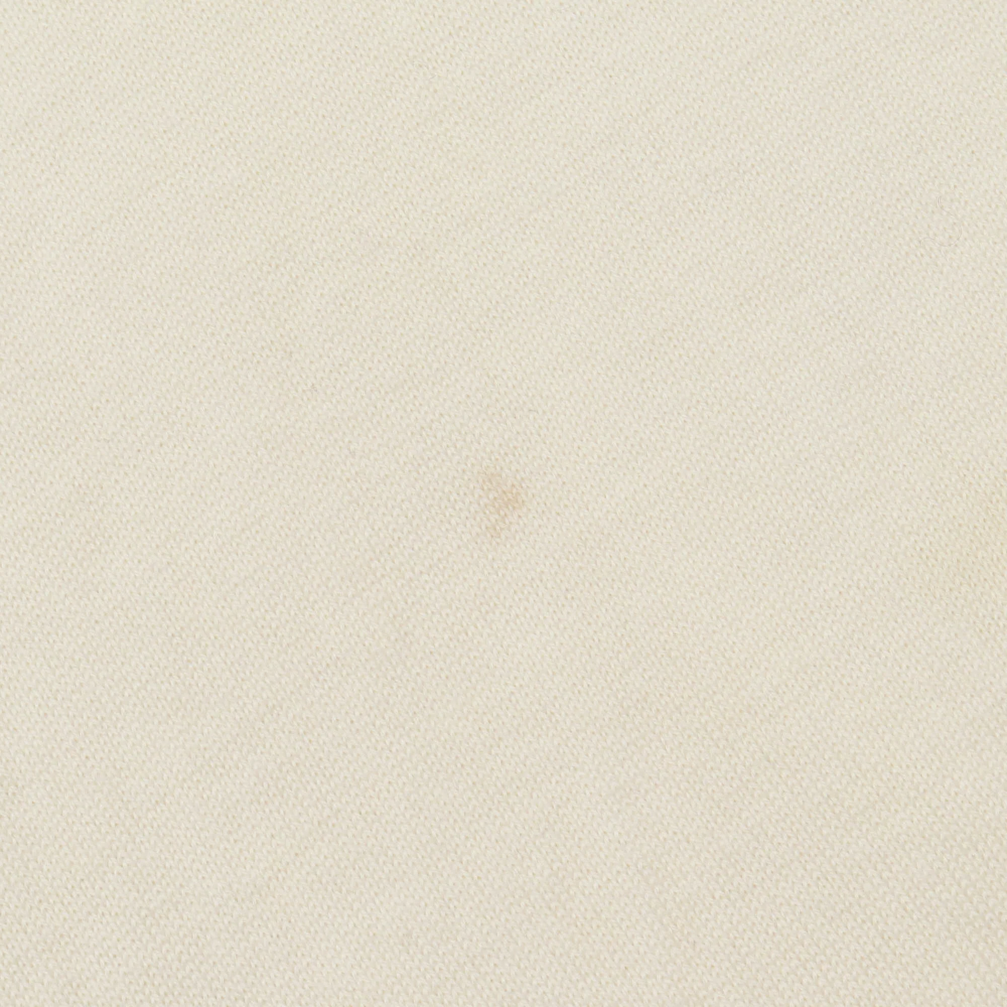 The Perfect Polo - Image 4