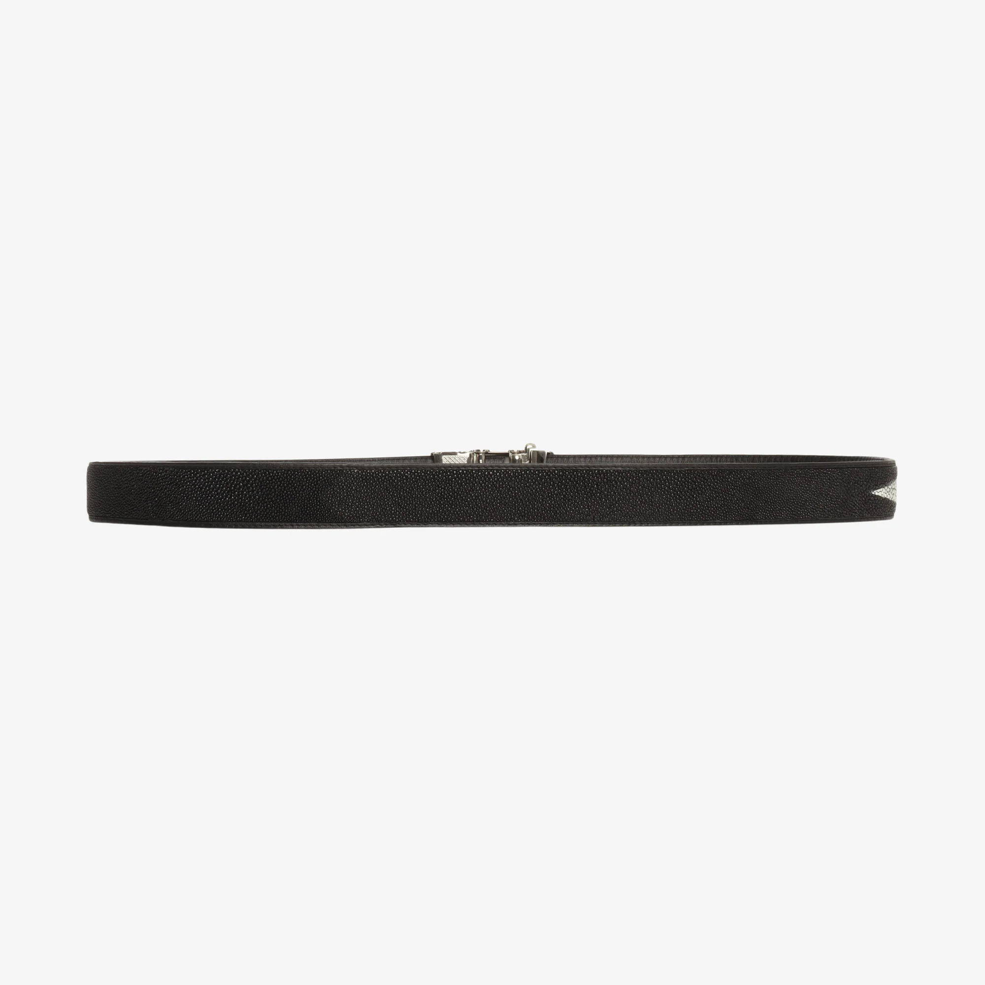 Stingray Skin Belt - Image 2